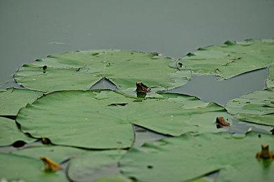 NEOWIZ签约《杀死影子》(Kill the Shadow)全球发行协议